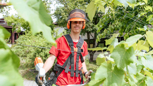 Lernen in der Paulinenpflege, Ausbildung, Gartenbau