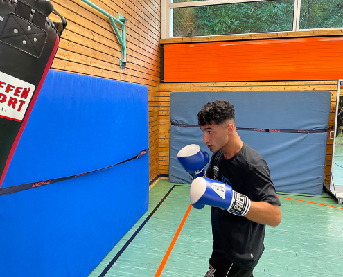 Box AG der Paulinenpflege